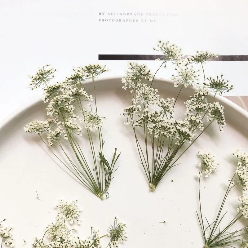 Craft Embellishments - 5-7Cm/12 Chiếc, Tuyết Hoa Nhỏ Xíu