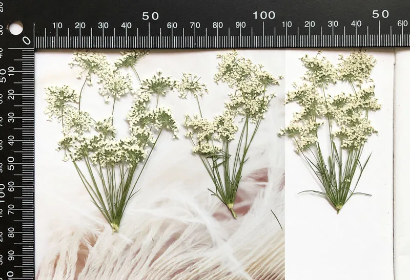 5-7Cm/12 Chiếc, Tuyết Hoa Nhỏ  - đánh giá và giá Craft Embellishments