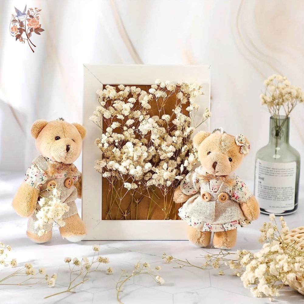 100pcs Mini Dried Baby's Breat - đánh giá và giá Craft Embellishments